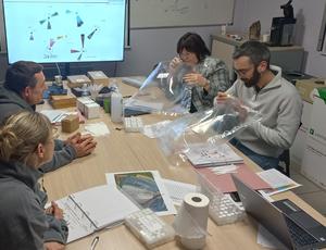 Formation Langage des Nez