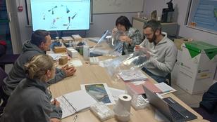 Formation Langage des Nez